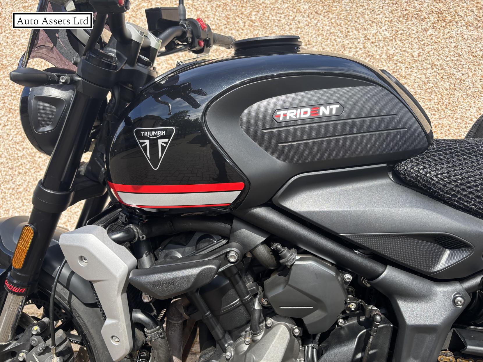 Triumph Trident 660 660 Triple Tribute Edition Roadster/Retro Petrol Manual X-Ring Euro 5 (82 ps)