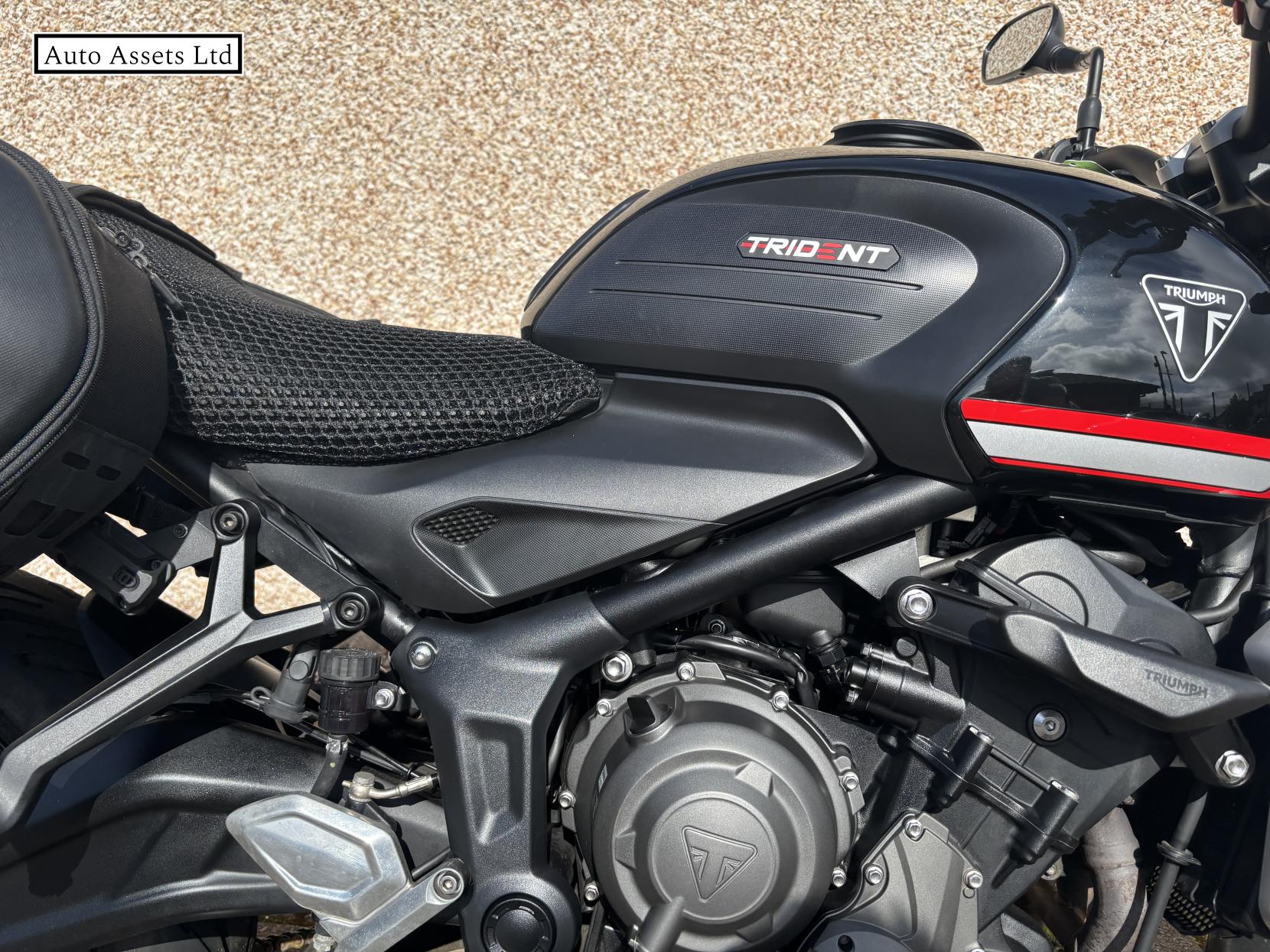 Triumph Trident 660 660 Triple Tribute Edition Roadster/Retro Petrol Manual X-Ring Euro 5 (82 ps)